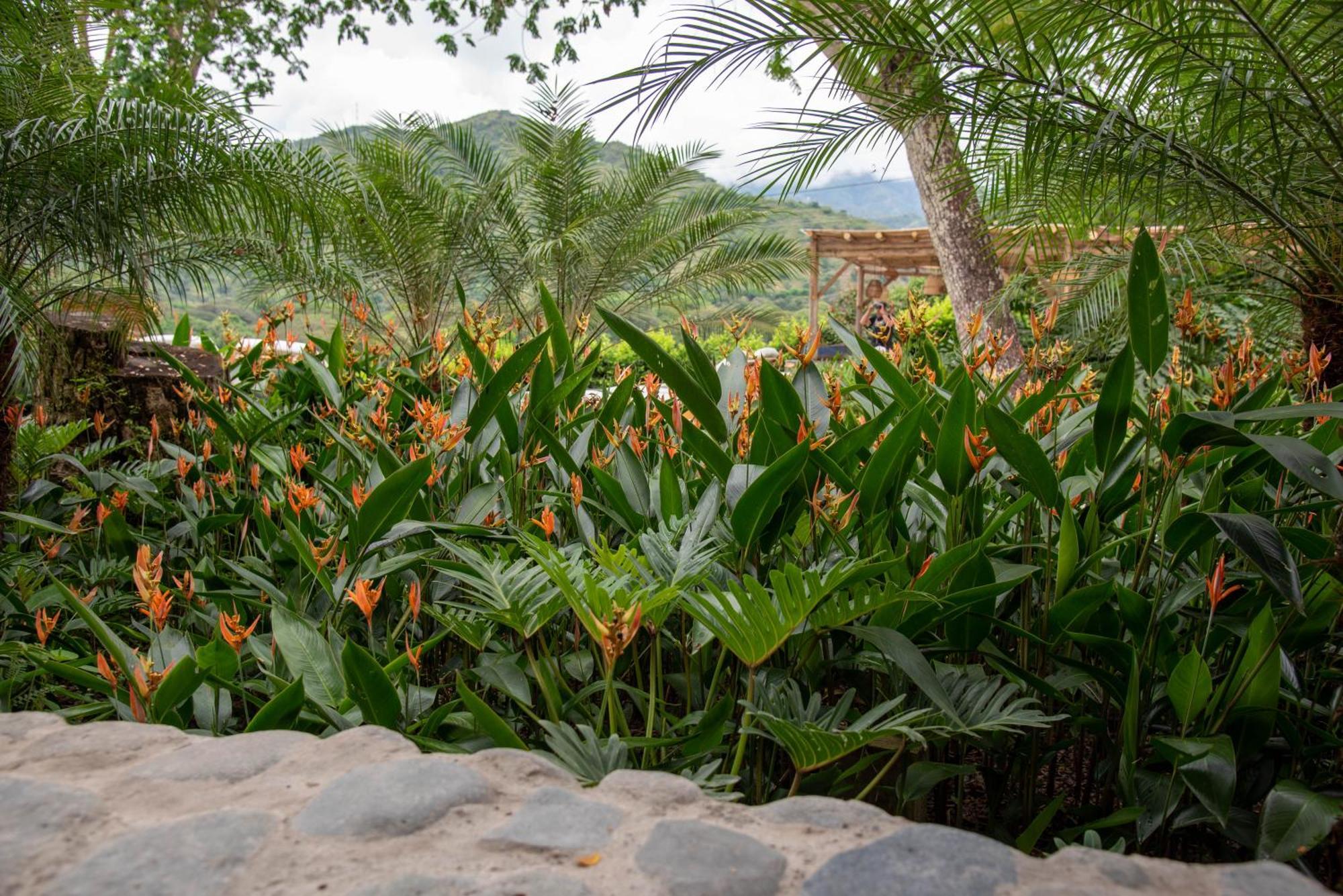 Nativa Refugio Escondido Hotel Santa Fe de Antioquia Exterior foto